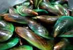 utiliser la poudre de moule verte