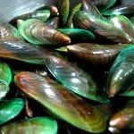 utiliser la poudre de moule verte